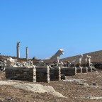 Delos: The Tiny Greek Island with a Majestic Roman Legacy